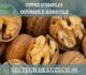 Offre d’emploi – Secteur de Luzech