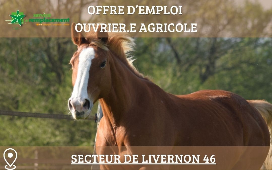 Offre d’emploi – Secteur de Livernon