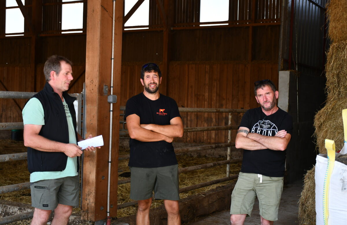 Versoa : les éleveurs reprennent la main sur la valorisation de leurs animaux