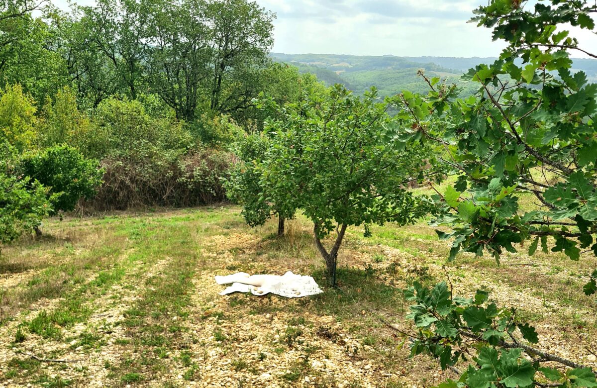 De la truffière à la mécanique agricole, l&rsquo;histoire d&rsquo;un inventeur lotois