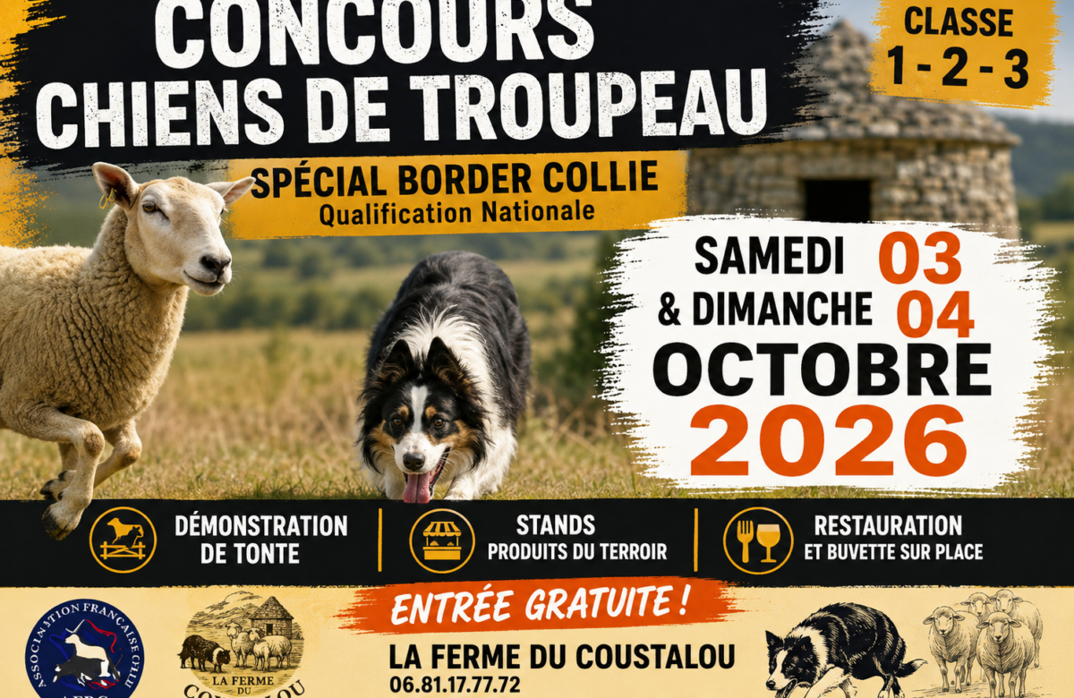 Le prochain concours de chiens de troupeau aura lieu le week-end  du 3 et 4 octobre 2026, à la Ferme du Coustalou à Corn (46100)