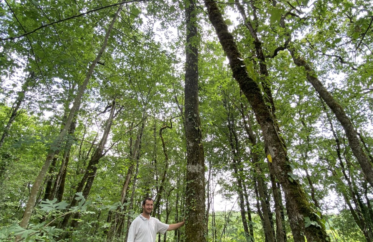La Chambre d&rsquo;agriculture conseille les agriculteurs&nbsp;: Jocelyn Dibois, conseiller forestier à la Chambre d&rsquo;agriculture du Lot