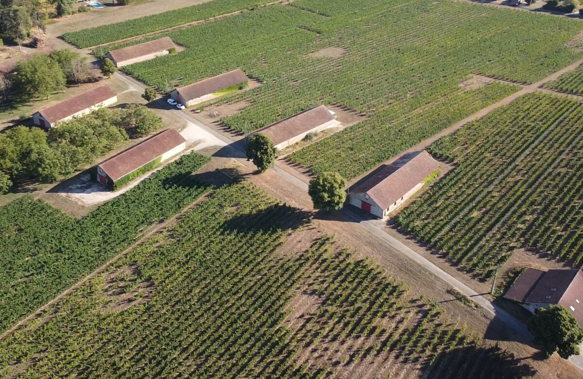 La Ferme expérimentale d’Anglars-Juillac : Un laboratoire d’avenir pour le vignoble 	de Cahors