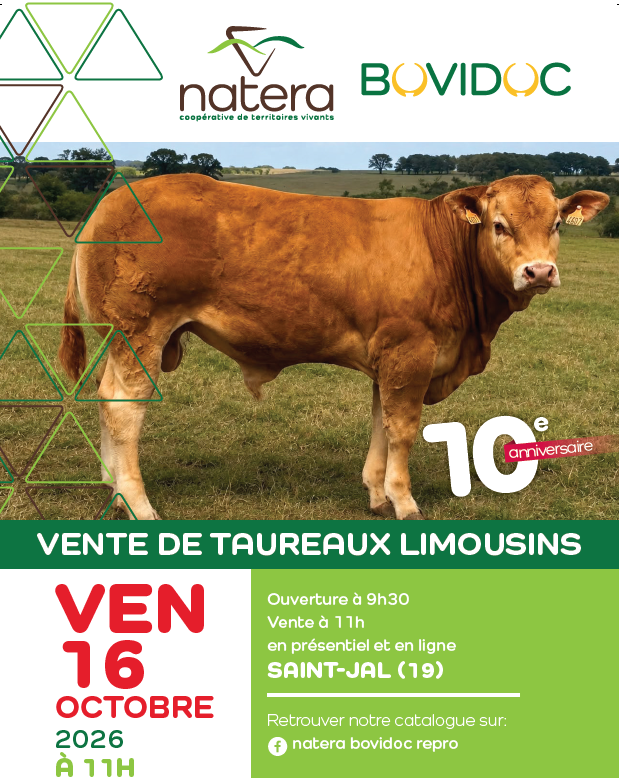 Saint-Jal : La vente aux enchères natera de taureaux limousins fête ses 10 ans !